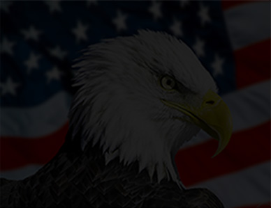 CountySolutionsPortal